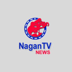 nagantv.com